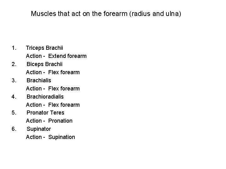 Muscles that act on the forearm (radius and ulna) 1. 2. 3. 4. 5.