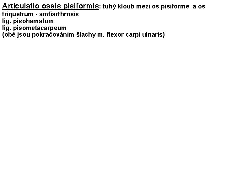 Articulatio ossis pisiformis: tuhý kloub mezi os pisiforme a os triquetrum - amfiarthrosis lig.