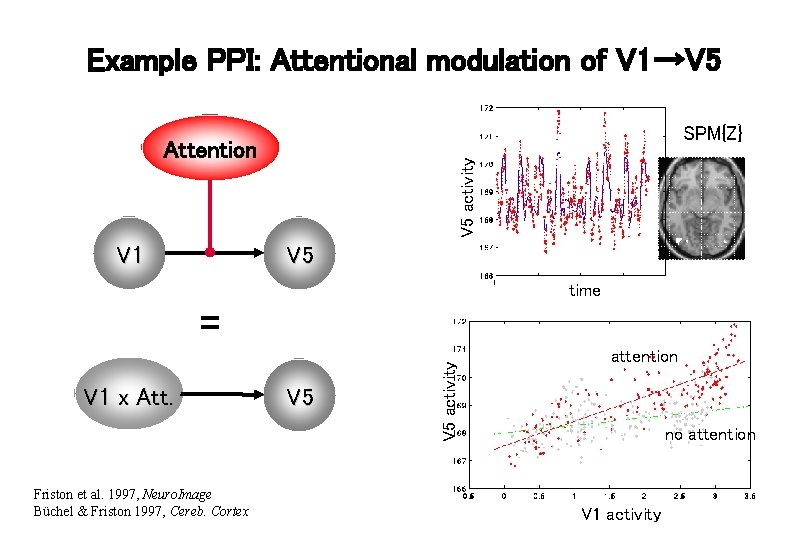 Example PPI: Attentional modulation of V 1→V 5 SPM{Z} V 1 V 5 activity