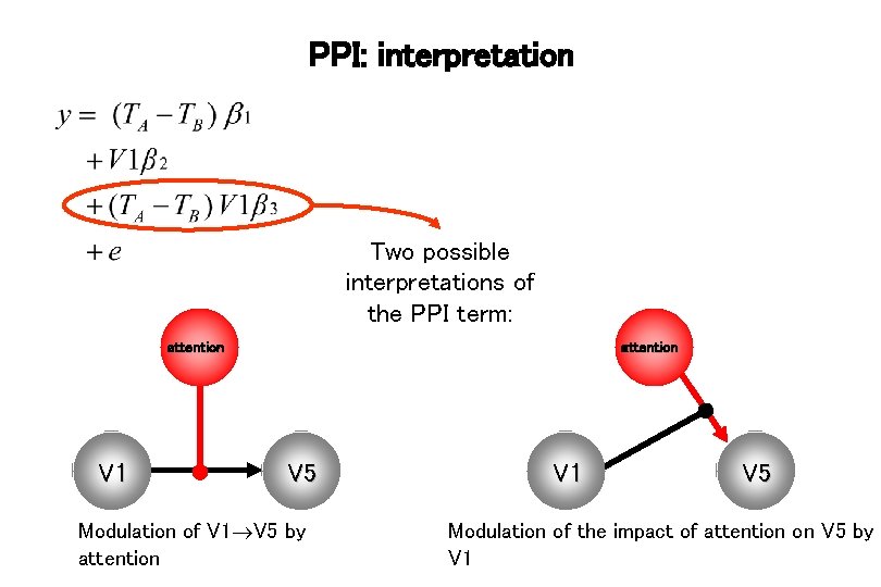 PPI: interpretation Two possible interpretations of the PPI term: attention V 1 attention V