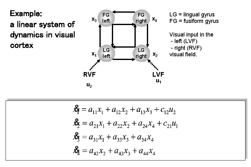 Example: a linear system of dynamics in visual cortex x 3 x 1 RVF