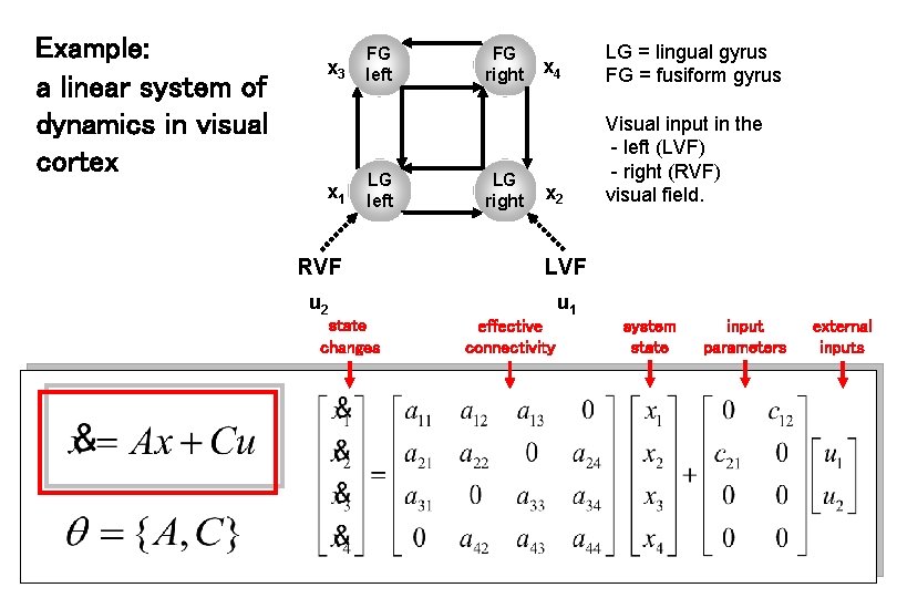 Example: a linear system of dynamics in visual cortex x 3 x 1 FG