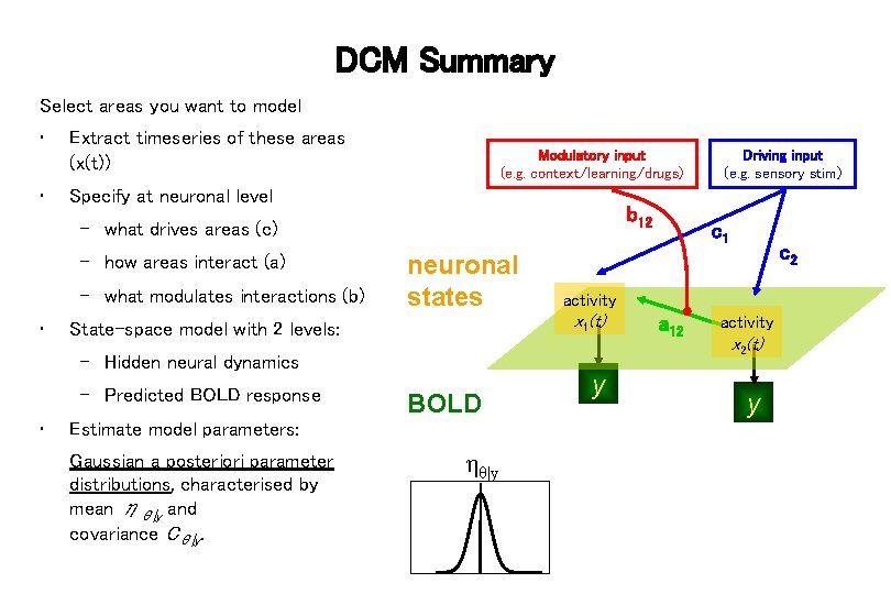 DCM Summary Select areas you want to model • Extract timeseries of these areas