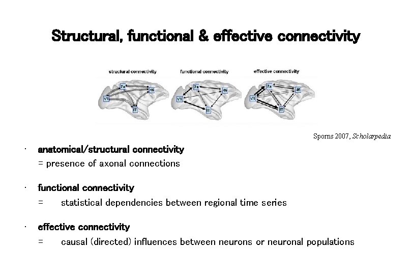 Structural, functional & effective connectivity Sporns 2007, Scholarpedia • anatomical/structural connectivity = presence of