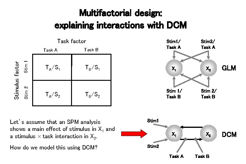 Multifactorial design: explaining interactions with DCM Task factor Stim 1 Task B Stim 2/