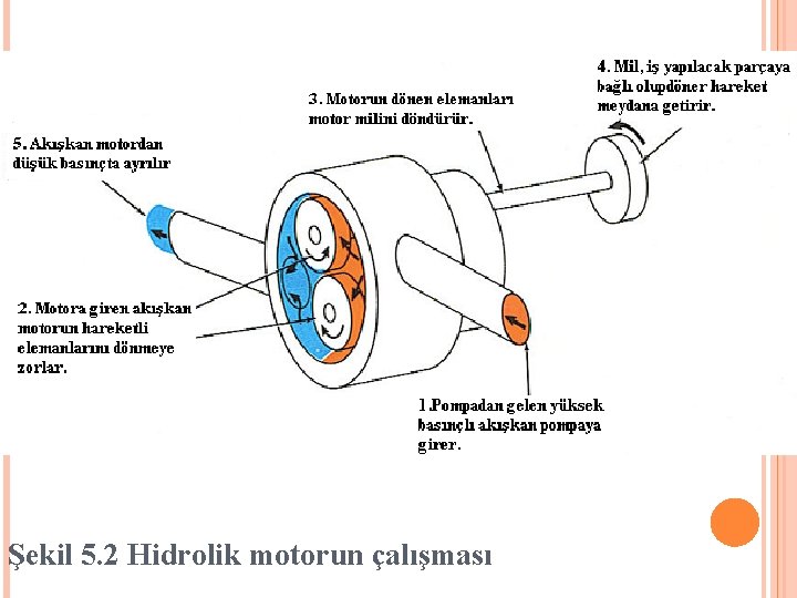 Şekil 5. 2 Hidrolik motorun çalışması 