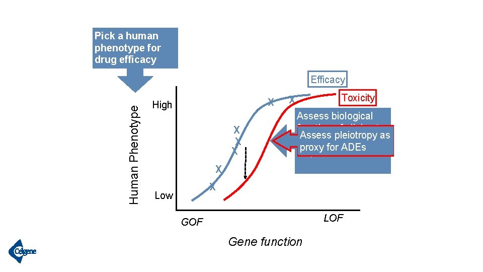 Pick a human phenotype for drug efficacy Human Phenotype Efficacy X High X X