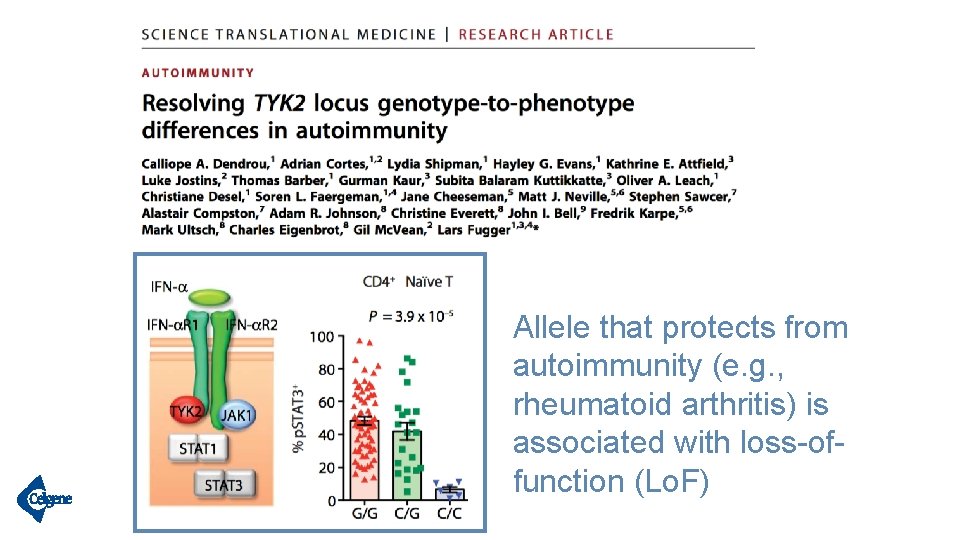 Allele that protects from autoimmunity (e. g. , rheumatoid arthritis) is associated with loss-offunction