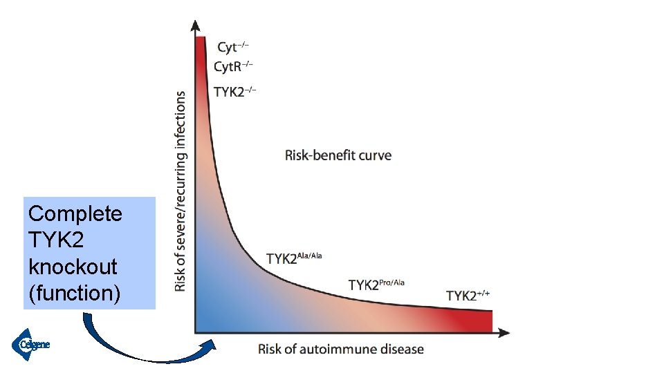Complete TYK 2 knockout (function) 