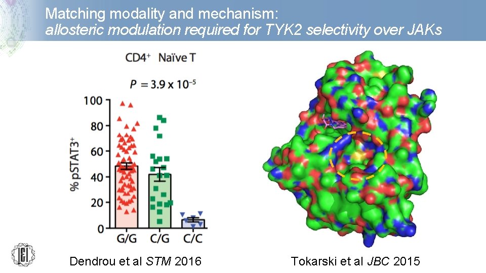 Matching modality and mechanism: allosteric modulation required for TYK 2 selectivity over JAKs Dendrou