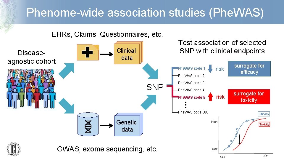 Phenome-wide association studies (Phe. WAS) EHRs, Claims, Questionnaires, etc. Diseaseagnostic cohort Test association of