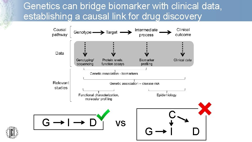 Genetics can bridge biomarker with clinical data, establishing a causal link for drug discovery