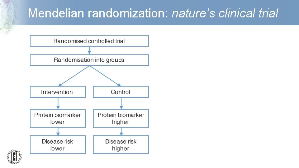 Mendelian randomization: nature’s clinical trial 