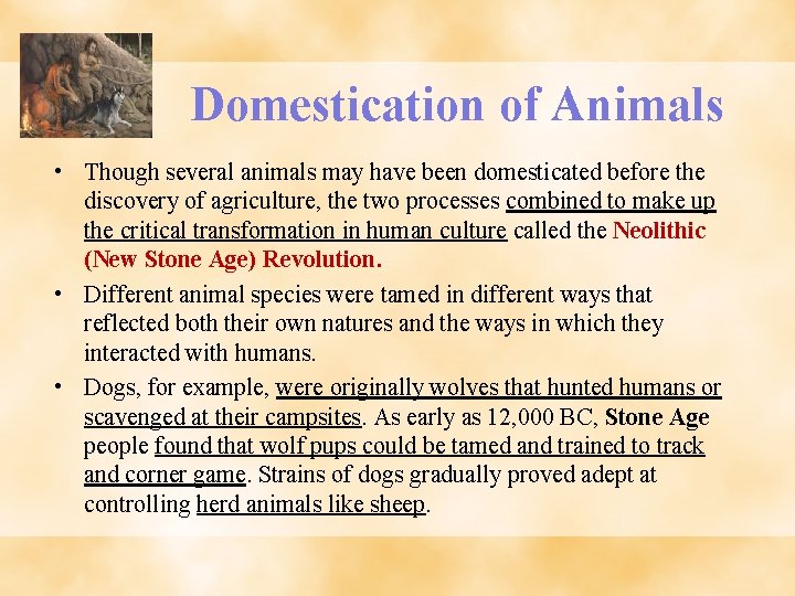 Domestication of Animals • Though several animals may have been domesticated before the discovery