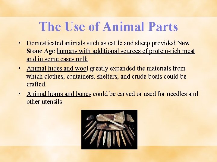 The Use of Animal Parts • Domesticated animals such as cattle and sheep provided
