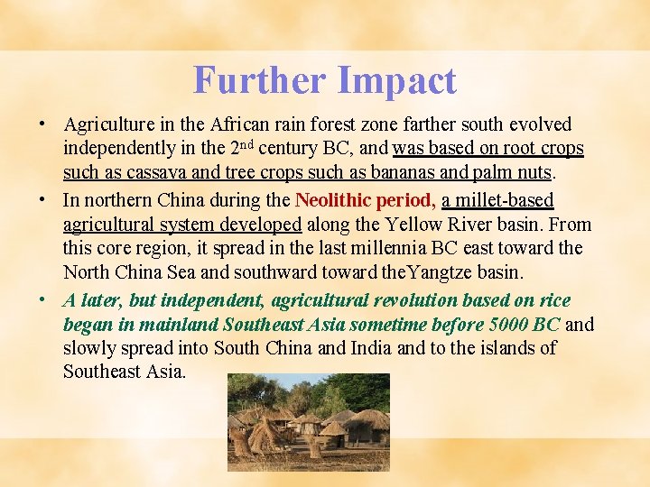 Further Impact • Agriculture in the African rain forest zone farther south evolved independently