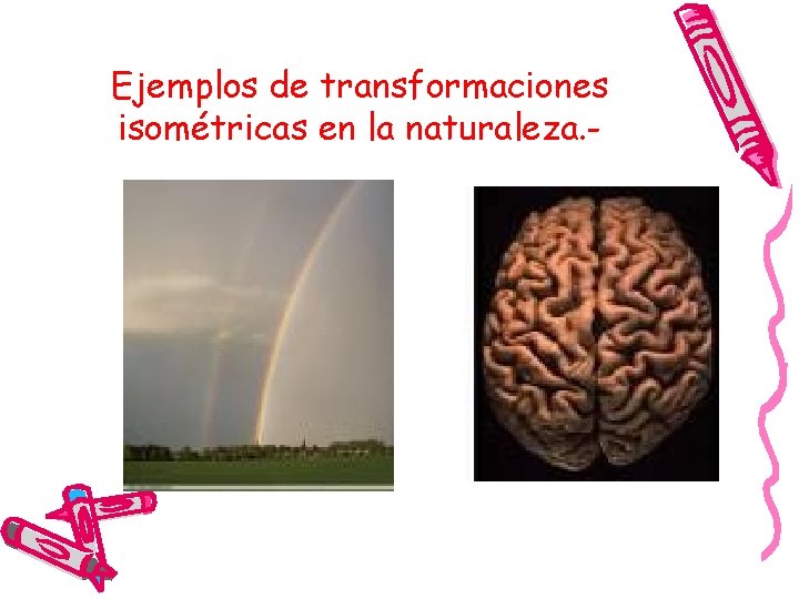 Ejemplos de transformaciones isométricas en la naturaleza. - 