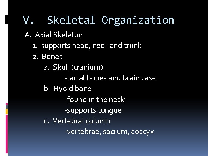V. Skeletal Organization A. Axial Skeleton 1. supports head, neck and trunk 2. Bones V. Skeletal Organization A. Axial Skeleton 1. supports head, neck and trunk 2. Bones