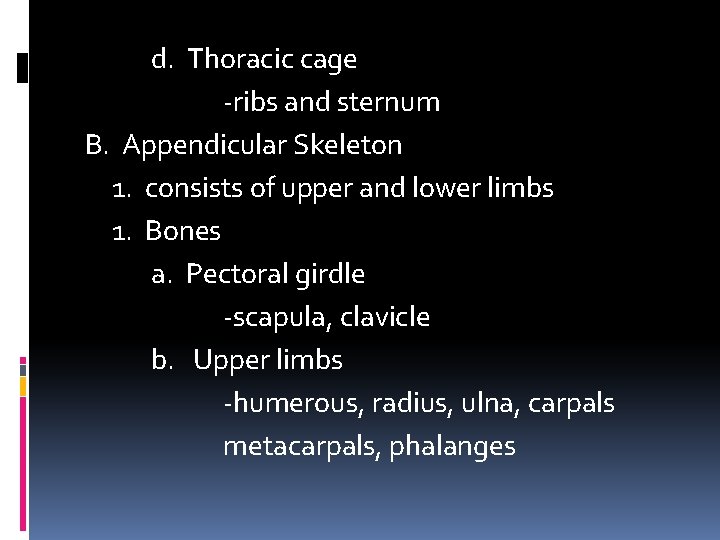 d. Thoracic cage -ribs and sternum B. Appendicular Skeleton 1. consists of upper and d. Thoracic cage -ribs and sternum B. Appendicular Skeleton 1. consists of upper and