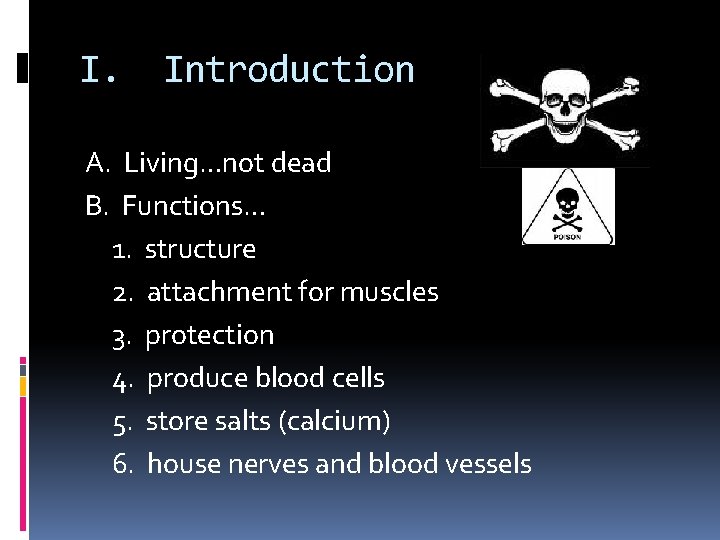 I. Introduction A. Living…not dead B. Functions… 1. structure 2. attachment for muscles 3. I. Introduction A. Living…not dead B. Functions… 1. structure 2. attachment for muscles 3.