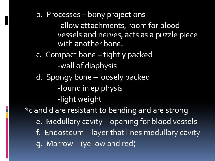 b. Processes – bony projections -allow attachments, room for blood vessels and nerves, acts b. Processes – bony projections -allow attachments, room for blood vessels and nerves, acts