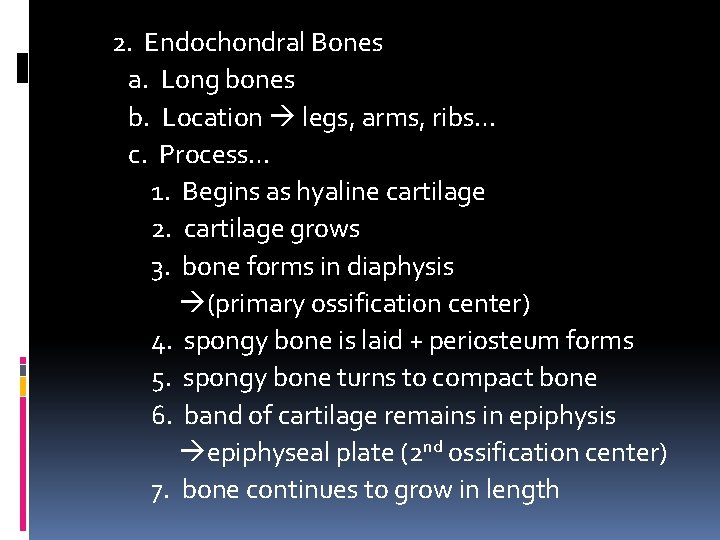 2. Endochondral Bones a. Long bones b. Location legs, arms, ribs… c. Process… 1. 2. Endochondral Bones a. Long bones b. Location legs, arms, ribs… c. Process… 1.