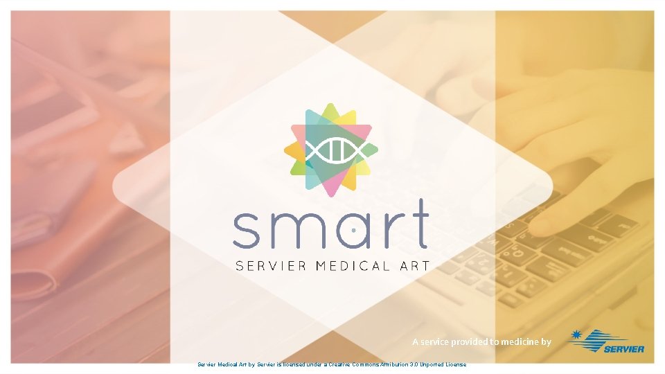 A service provided to medicine by Servier Medical Art by Servier is licensed under