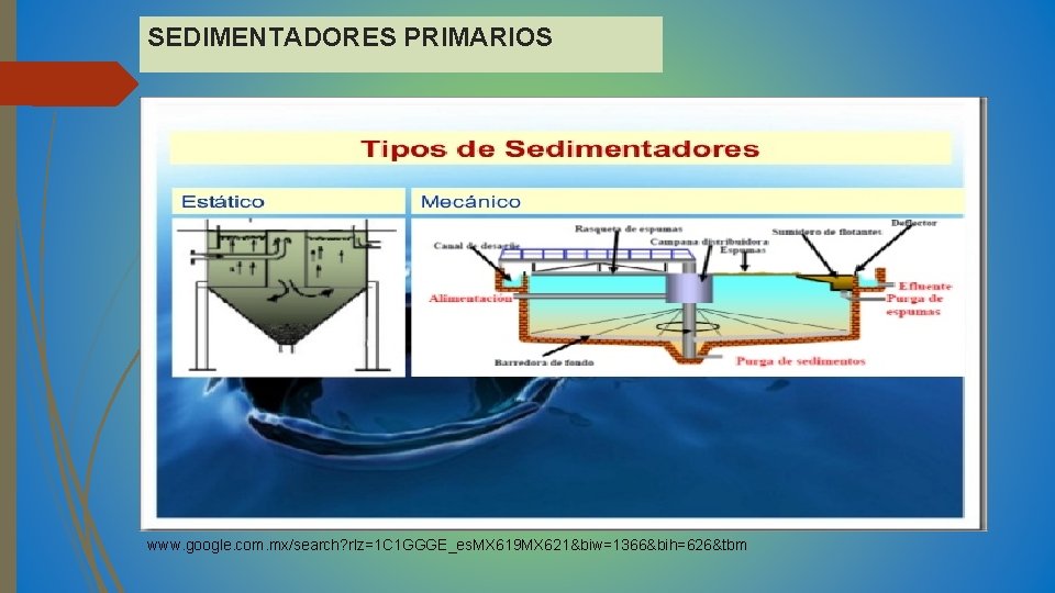 SEDIMENTADORES PRIMARIOS www. google. com. mx/search? rlz=1 C 1 GGGE_es. MX 619 MX 621&biw=1366&bih=626&tbm