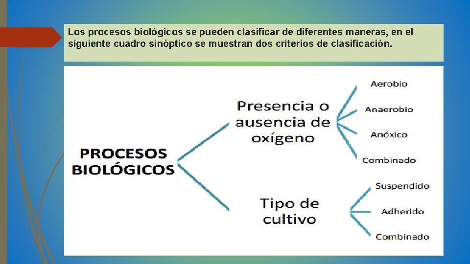 Los procesos biológicos se pueden clasificar de diferentes maneras, en el siguiente cuadro sinóptico