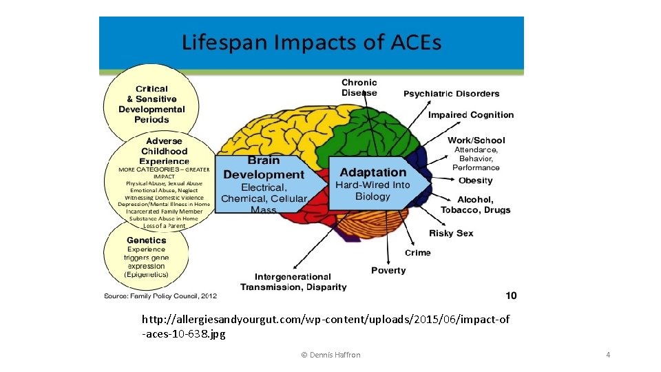 http: //allergiesandyourgut. com/wp-content/uploads/2015/06/impact-of -aces-10 -638. jpg © Dennis Haffron 4 