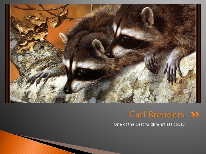 Carl Brenders One of the best wildlife artists today. 