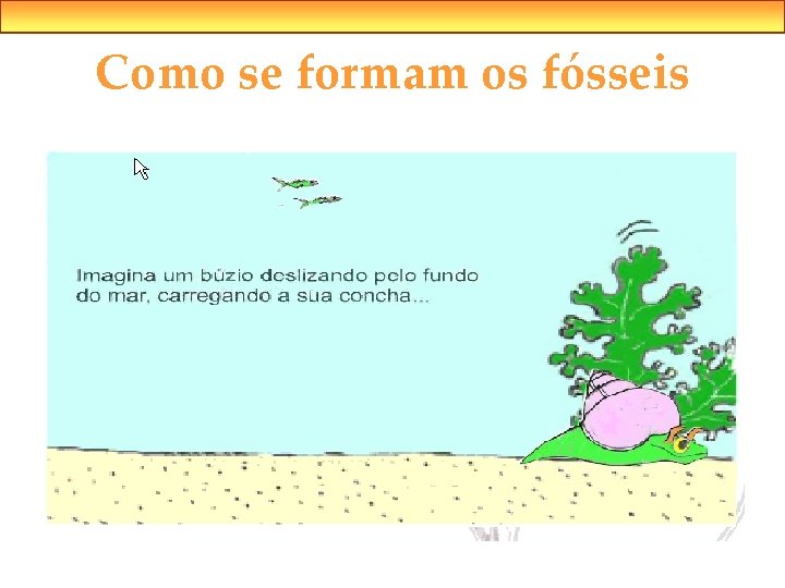 Como se formam os fósseis 