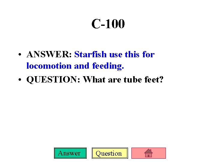 C-100 • ANSWER: Starfish use this for locomotion and feeding. • QUESTION: What are