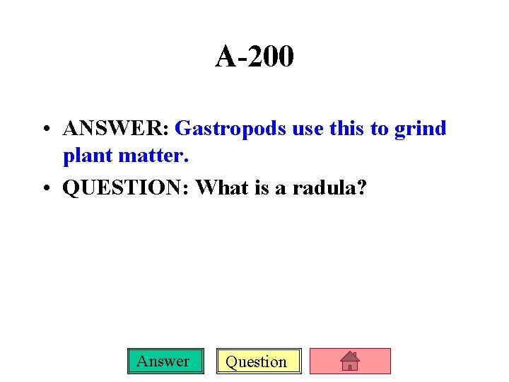 A-200 • ANSWER: Gastropods use this to grind plant matter. • QUESTION: What is