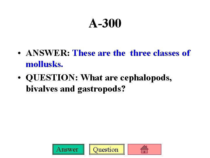 A-300 • ANSWER: These are three classes of mollusks. • QUESTION: What are cephalopods,