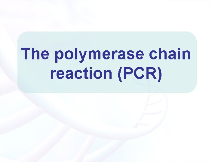 The polymerase chain reaction (PCR) 