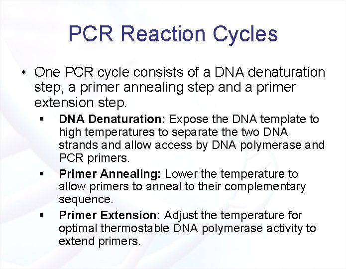 PCR Reaction Cycles • One PCR cycle consists of a DNA denaturation step, a