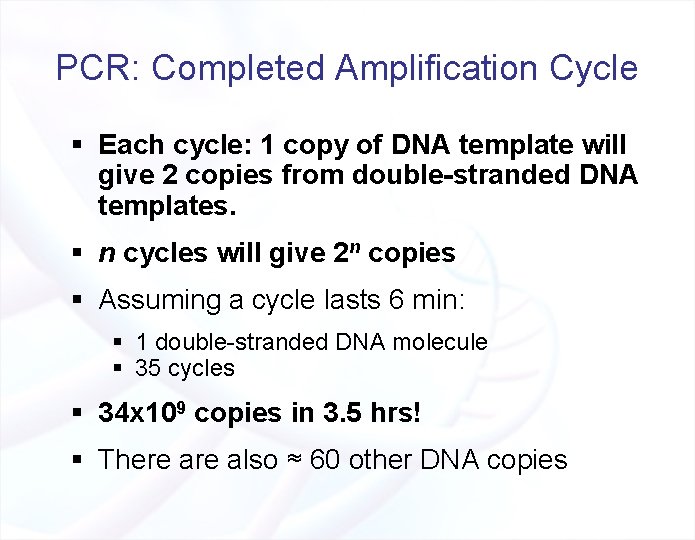 PCR: Completed Amplification Cycle § Each cycle: 1 copy of DNA template will give