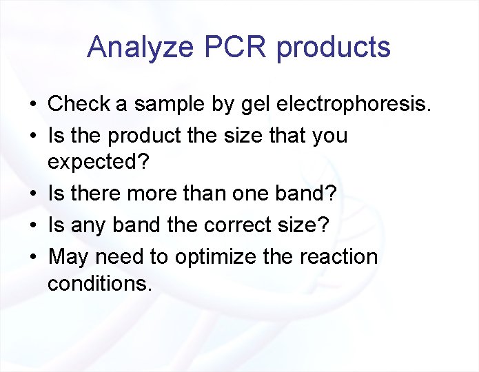 Analyze PCR products • Check a sample by gel electrophoresis. • Is the product