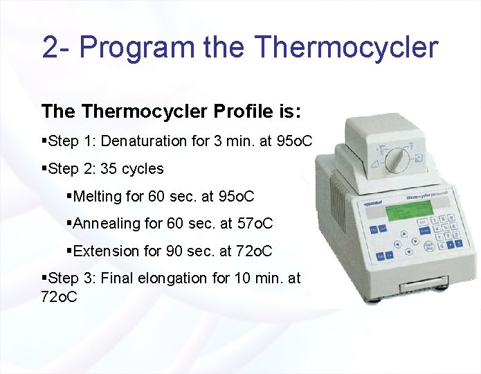 2 - Program the Thermocycler Profile is: §Step 1: Denaturation for 3 min. at