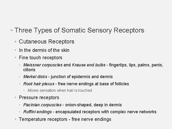  • Three Types of Somatic Sensory Receptors • Cutaneous Receptors • In the