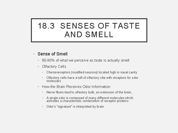 18. 3 SENSES OF TASTE AND SMELL • Sense of Smell • 80 -90%