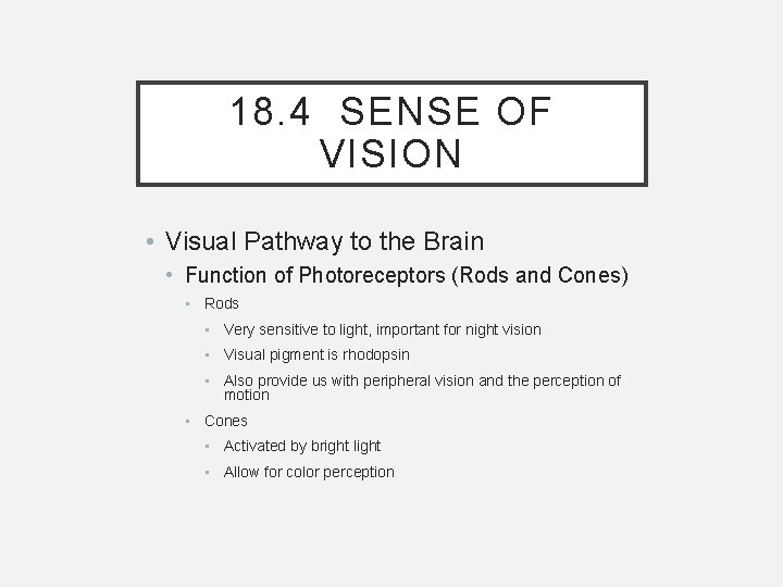 18. 4 SENSE OF VISION • Visual Pathway to the Brain • Function of