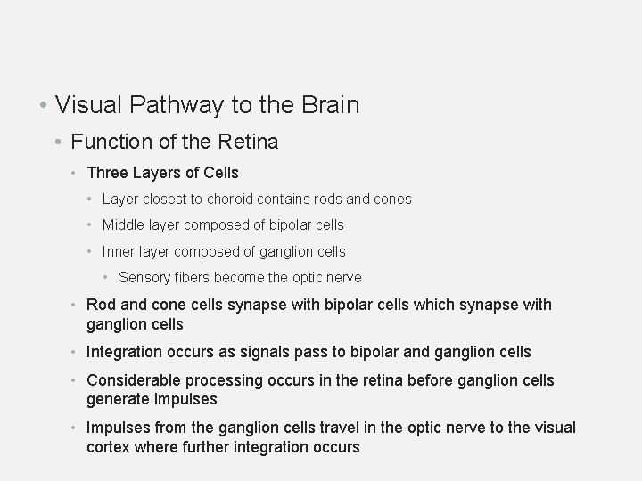  • Visual Pathway to the Brain • Function of the Retina • Three