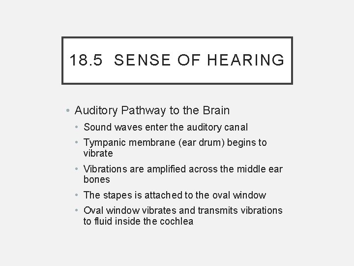 18. 5 SENSE OF HEARING • Auditory Pathway to the Brain • Sound waves