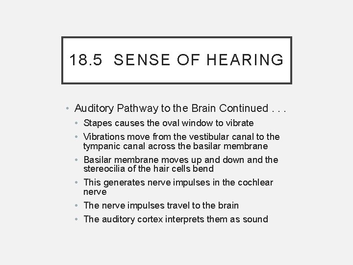 18. 5 SENSE OF HEARING • Auditory Pathway to the Brain Continued. . .