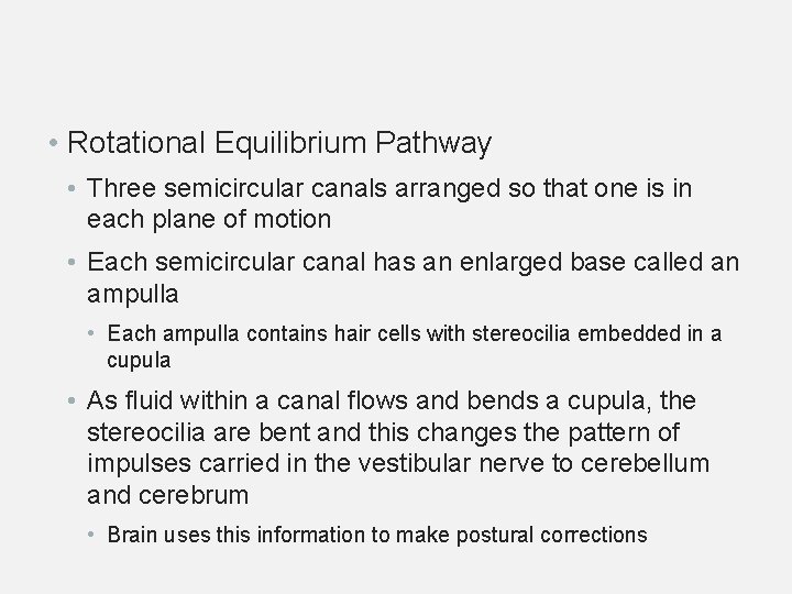  • Rotational Equilibrium Pathway • Three semicircular canals arranged so that one is