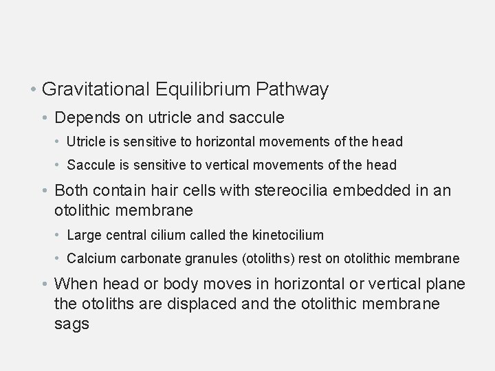  • Gravitational Equilibrium Pathway • Depends on utricle and saccule • Utricle is