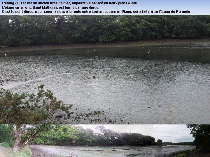 L'étang du Ter est un ancien bras de mer, aujourd'hui séparé en deux plans