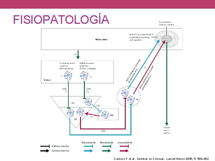 FISIOPATOLOGÍA Cardoso F et al. . Seminar on Choreas. . Lancet Neurol 2006; 5: